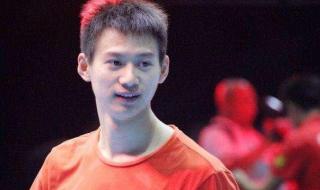 中国男乒挺进四强 中国男乒挺进四强