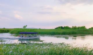 苏州太湖湿地公园 苏州太湖湿地公园