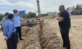 什么是白皮本书 什么是白皮本书