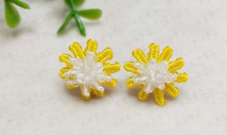 小雏菊花语 小雏菊花语