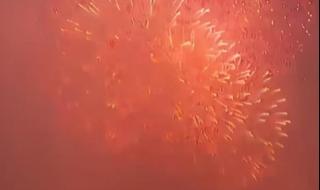 海峡两岸春节焰火晚会 海峡两岸春节焰火晚会