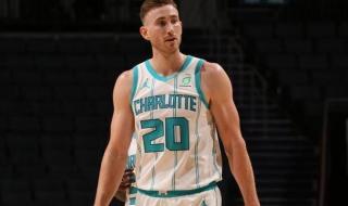 黄蜂和鹈鹕什么关系 黄蜂和鹈鹕什么关系